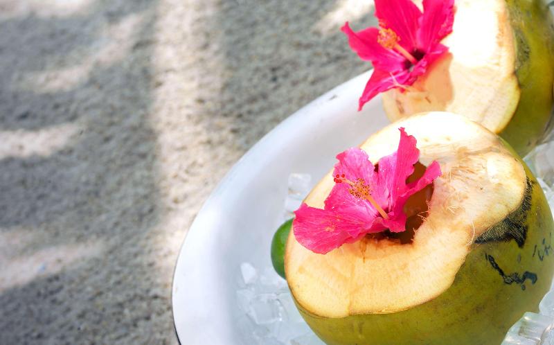 ホテル Havana Cabana At Key West Adults Only