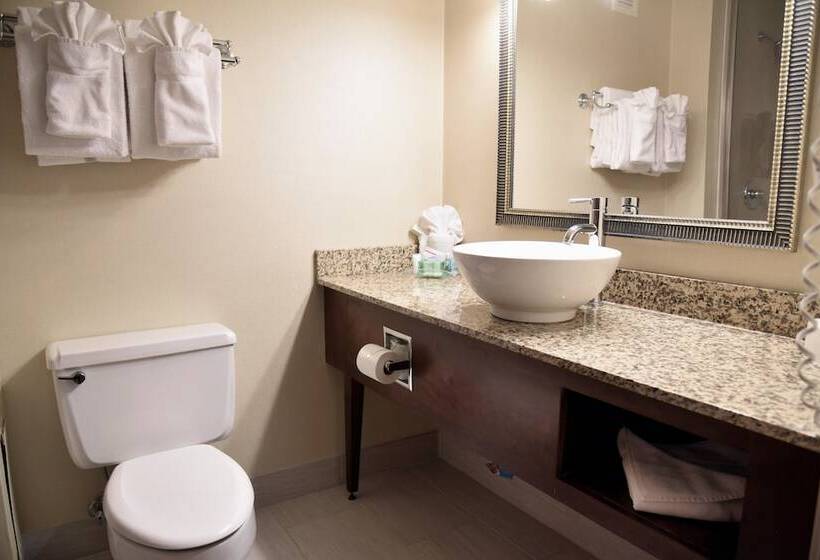 호텔 Holiday Inn Akron West, An Ihg