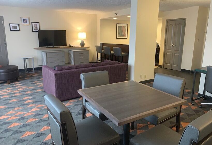 فندق Holiday Inn Asheville   Biltmore West, An Ihg