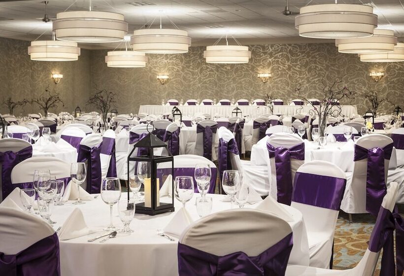 酒店 Holiday Inn Rock Island Quad Cities, An Ihg