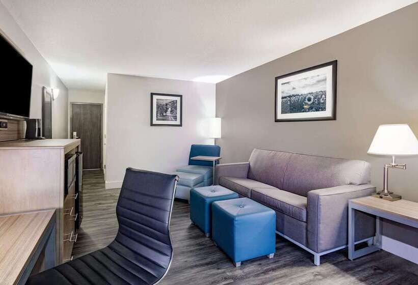 فندق La Quinta By Wyndham Joplin