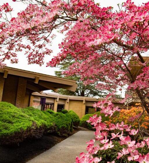 فندق Mirabeau Park