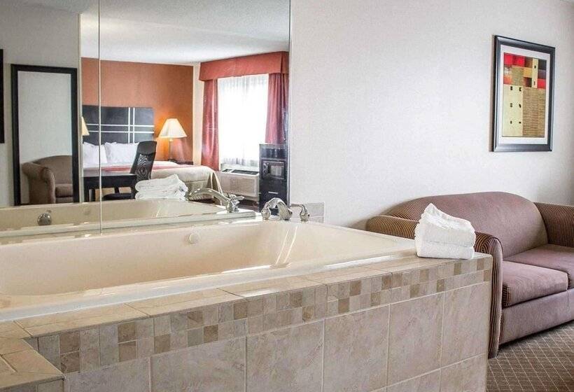 酒店 Norwood Inn & Suites North Conference Center