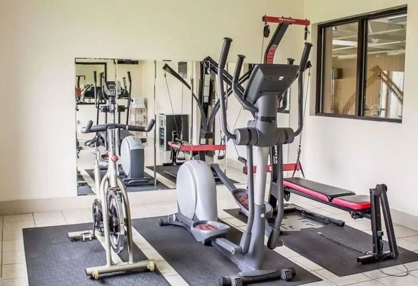 酒店 Norwood Inn & Suites North Conference Center