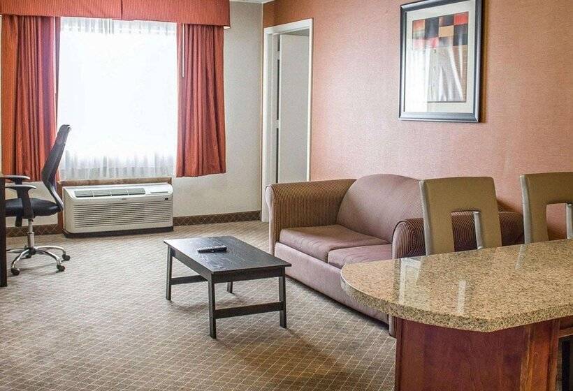 酒店 Norwood Inn & Suites North Conference Center