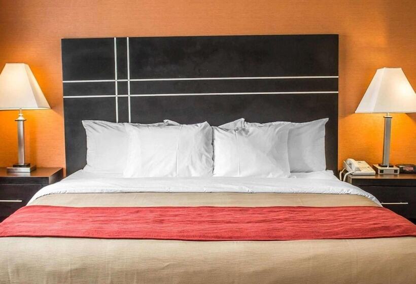 酒店 Norwood Inn & Suites North Conference Center