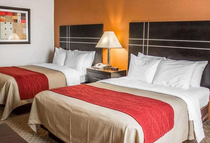 酒店 Norwood Inn & Suites North Conference Center