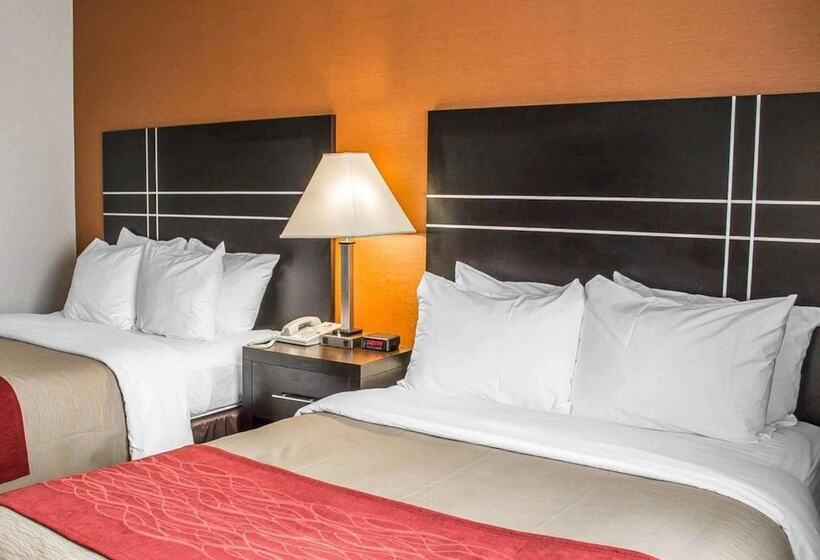 호텔 Norwood Inn & Suites North Conference Center