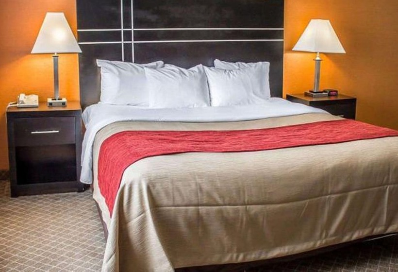 酒店 Norwood Inn & Suites North Conference Center