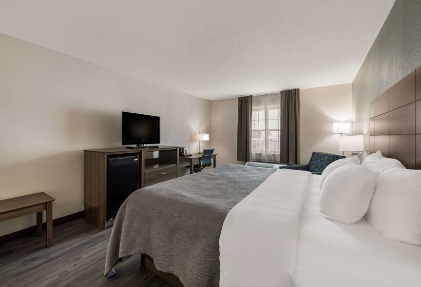 호텔 Quality Inn Airport