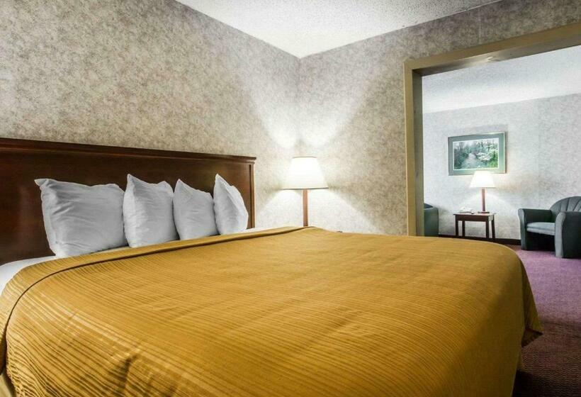 فندق Quality Inn & Suites