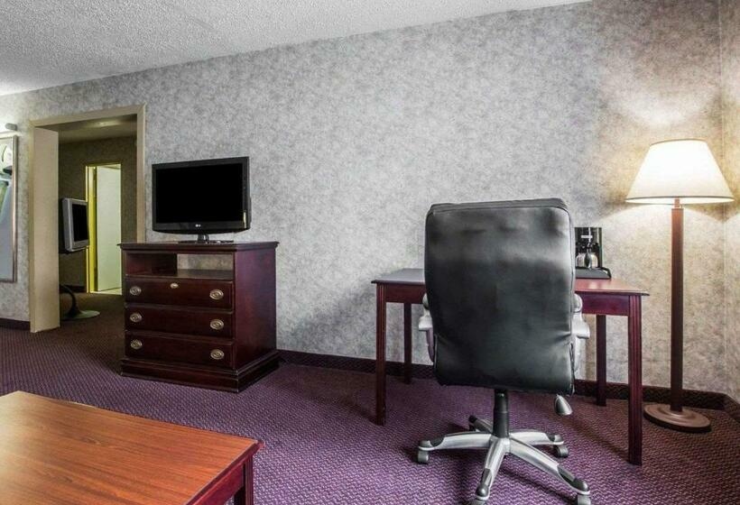 فندق Quality Inn & Suites