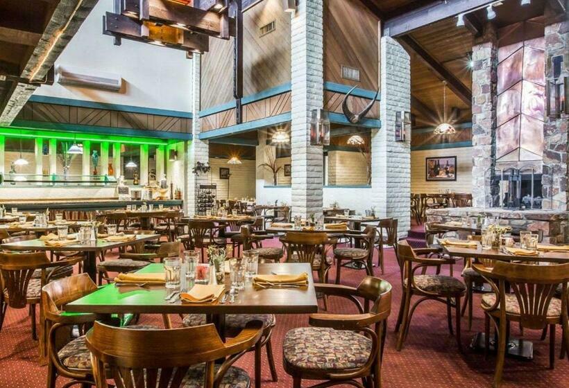 فندق Quality Inn & Suites