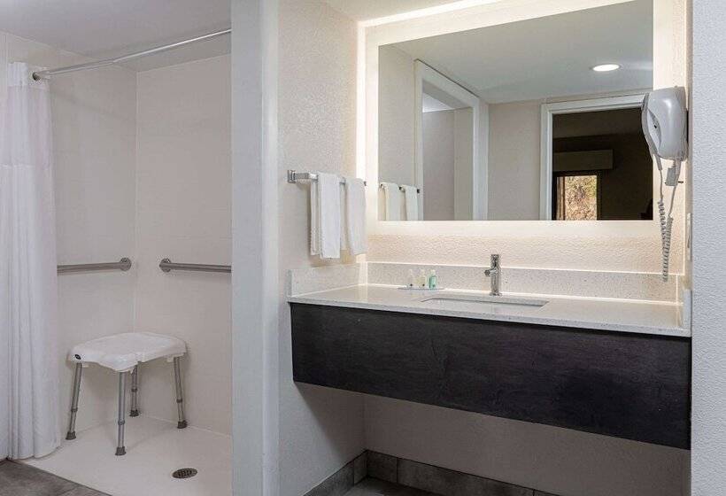 هتل Quality Inn Asheville Downtown Tunnel Rd