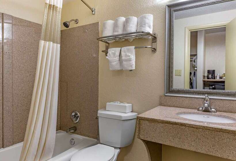 ホテル Quality Inn & Suites  Greensborohigh Point