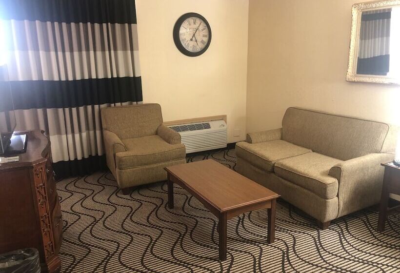 هتل Ramada By Wyndham Birmingham Airport