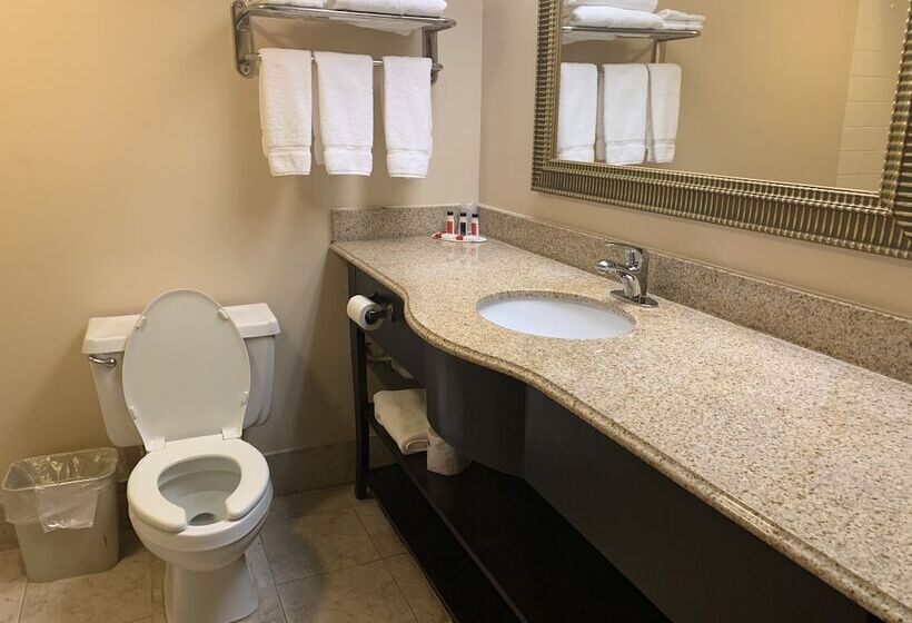 בית מלון כפרי Ramada By Wyndham Gainesville