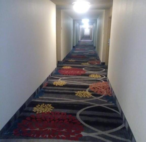 酒店 Ramada Plaza By Wyndham Louisville & Conference Center