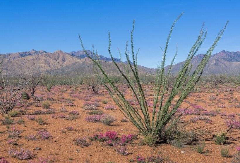 ホテル Rancho De La Osa Guest Ranch