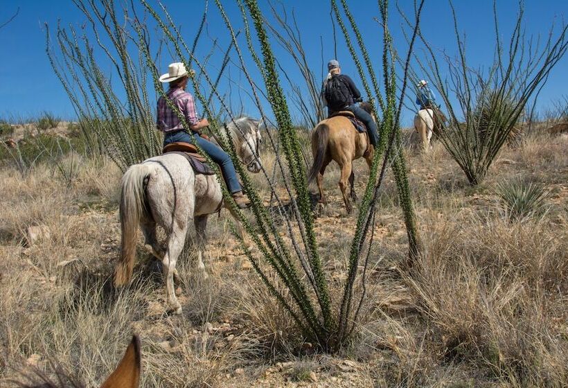 ホテル Rancho De La Osa Guest Ranch