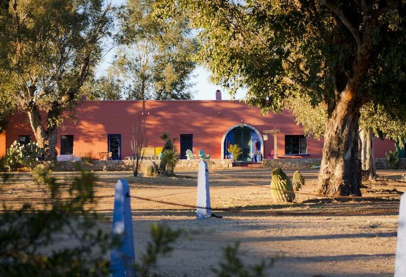 ホテル Rancho De La Osa Guest Ranch