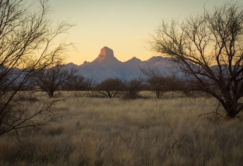 ホテル Rancho De La Osa Guest Ranch