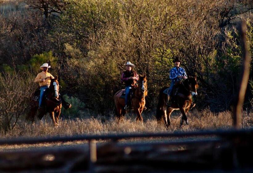 ホテル Rancho De La Osa Guest Ranch