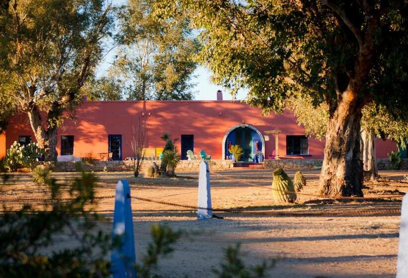 ホテル Rancho De La Osa Guest Ranch