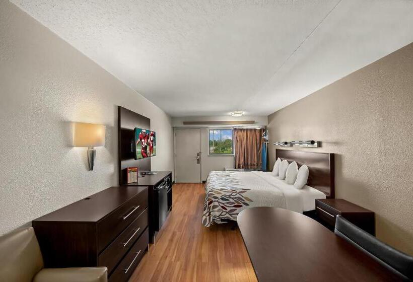 酒店 Red Roof Inn Dallas  Dfw Airport North