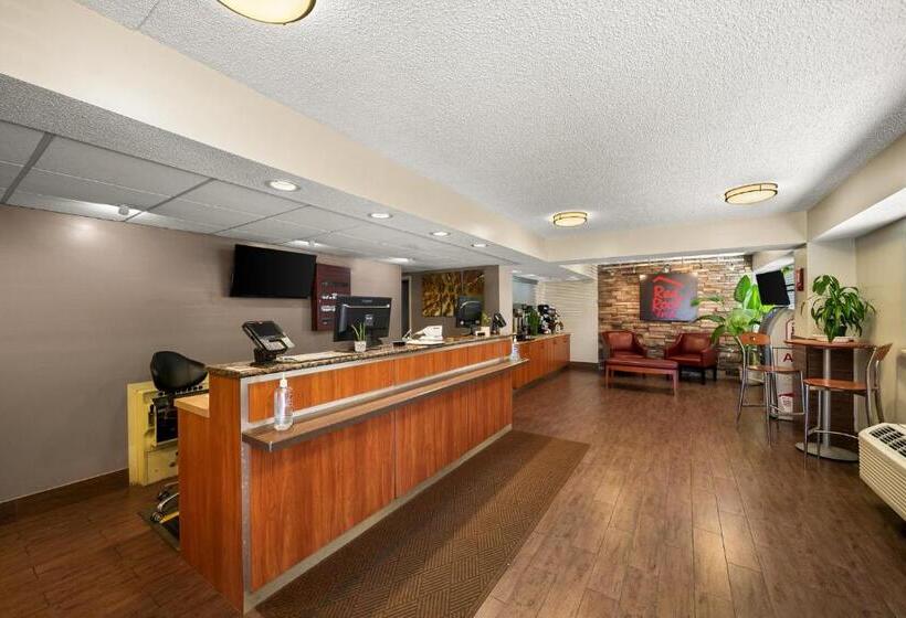 酒店 Red Roof Inn Dallas  Dfw Airport North