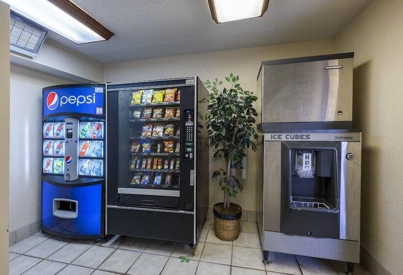 酒店 Red Roof Inn Plus+ Pittsburgh South   Airport