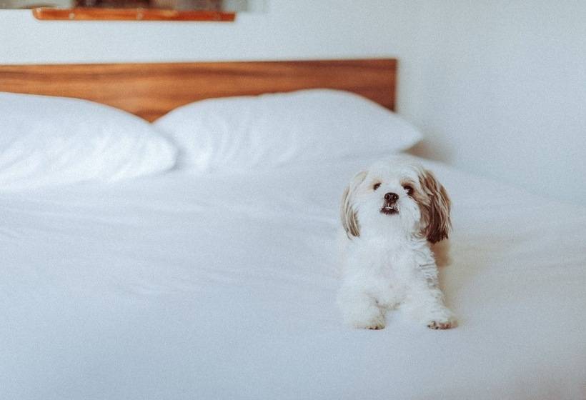 ホテル Royal Grove Waikiki