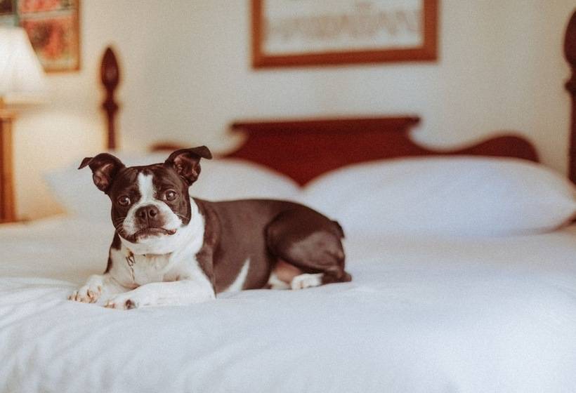 ホテル Royal Grove Waikiki