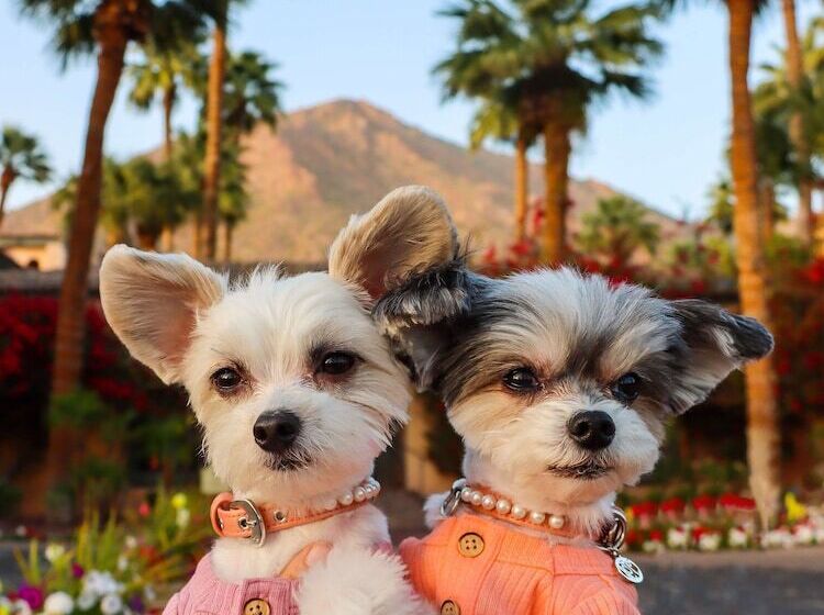 هتل Royal Palms Resort And Spa, Part Of Hyatt