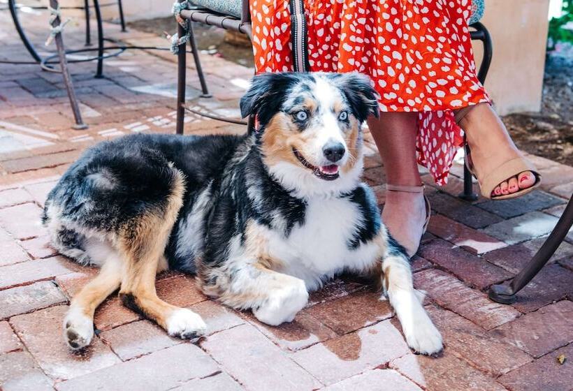 هتل Royal Palms Resort And Spa, Part Of Hyatt