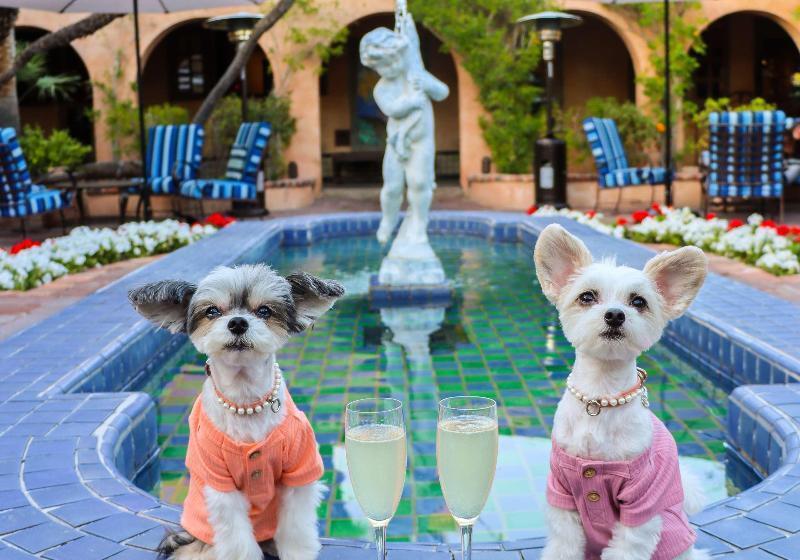 هتل Royal Palms Resort And Spa, Part Of Hyatt