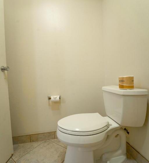 فندق Royal Plaza Inn