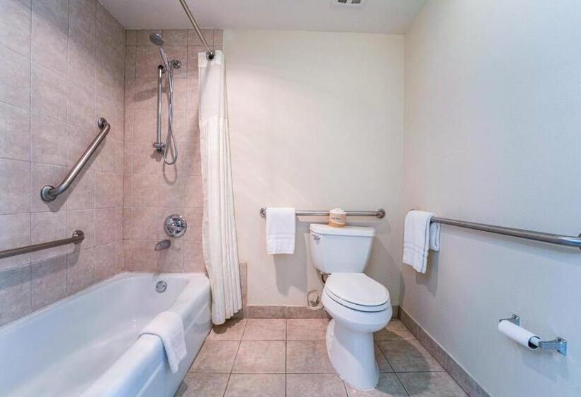 فندق Royal Plaza Inn