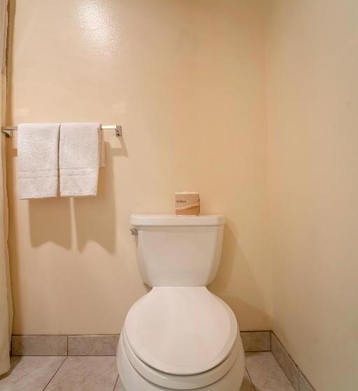 فندق Royal Plaza Inn