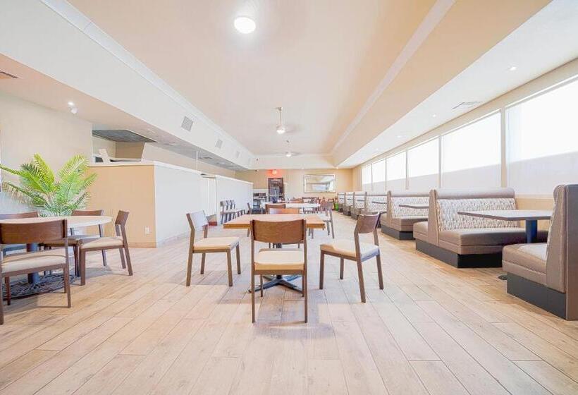 فندق Royal Plaza Inn