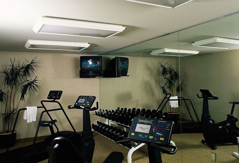 هتل Safari Inn, A Coast