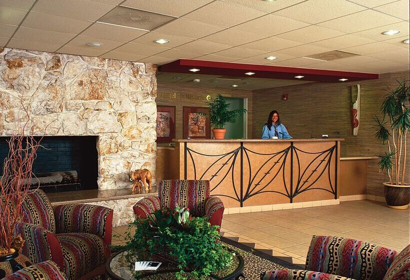 ホテル Safari Inn, A Coast