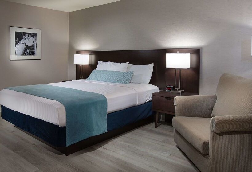 ホテル Safari Inn, A Coast