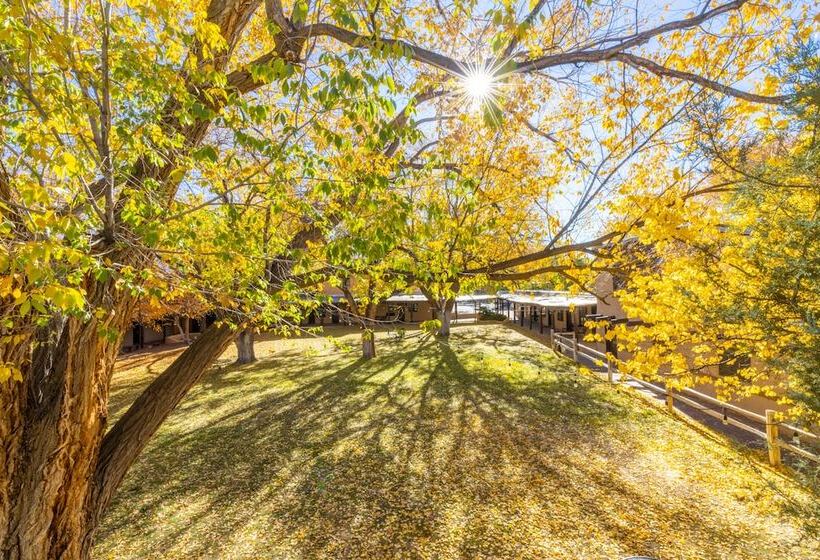 ホテル Sagebrush Inn & Suites