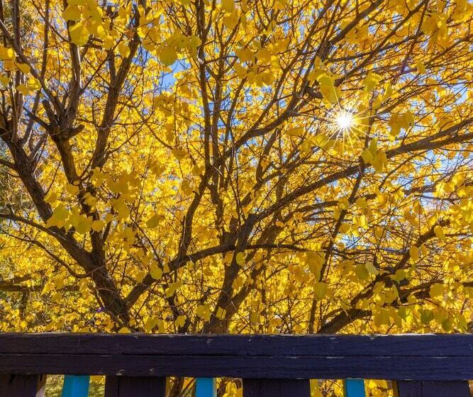 ホテル Sagebrush Inn & Suites