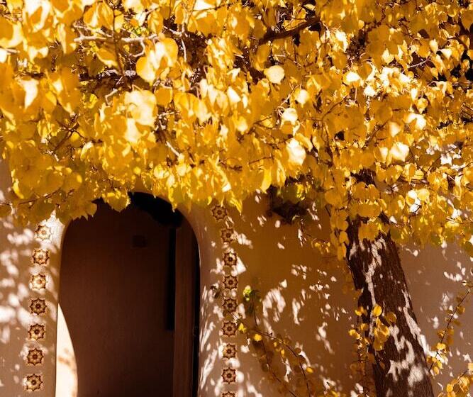 ホテル Sagebrush Inn & Suites