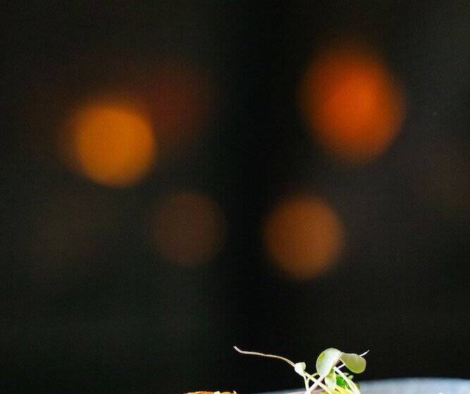 בית מלון כפרי The Landing Resort And Spa