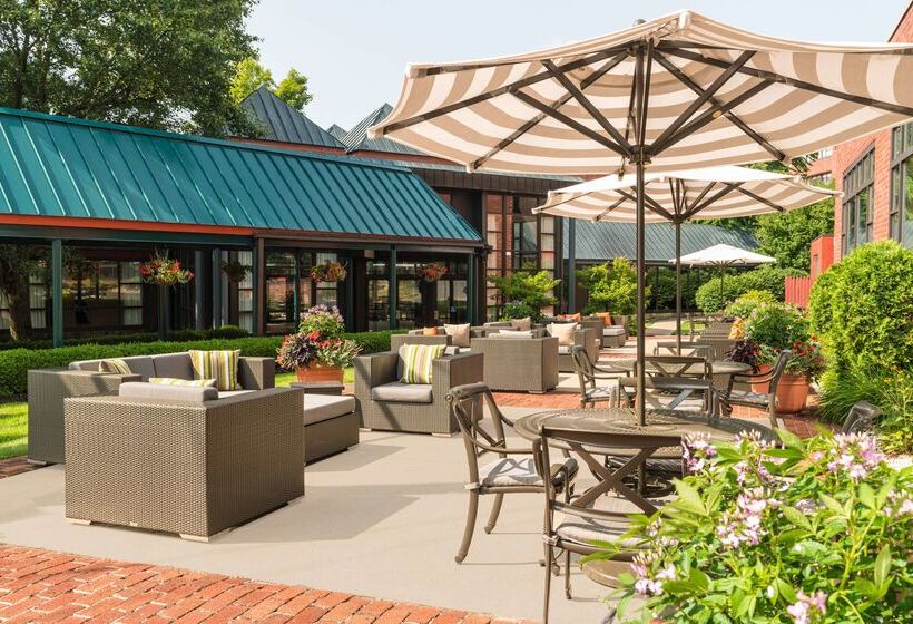 فندق The Saratoga Hilton