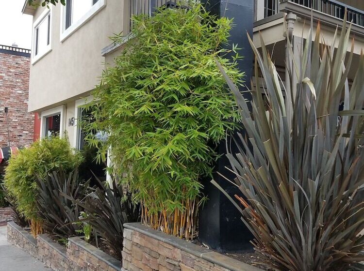 Отель Travelodge By Wyndham San Francisco Bay