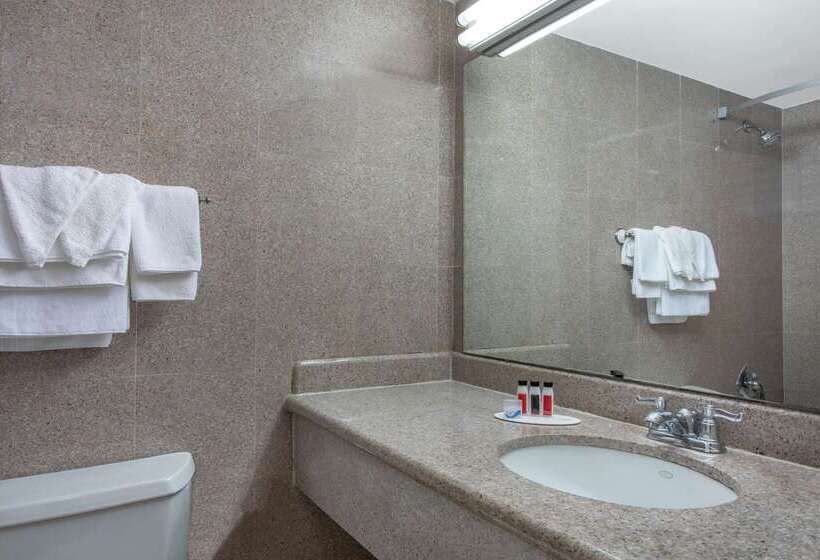 汽车旅馆  Days Inn By Wyndham Elmsford